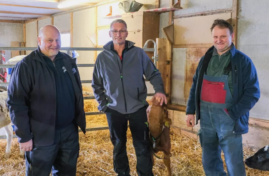 (v. l.) UFA-Kälberspezialist Paul Ammann mit den Betriebsleitern Beat Röthlisberger und Werner Hofer im Kälberstall.