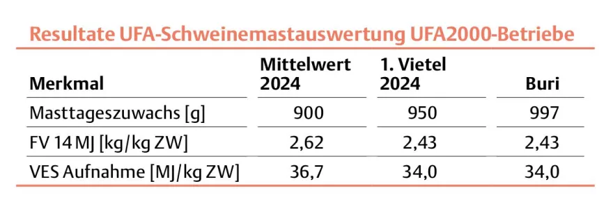 Tabelle