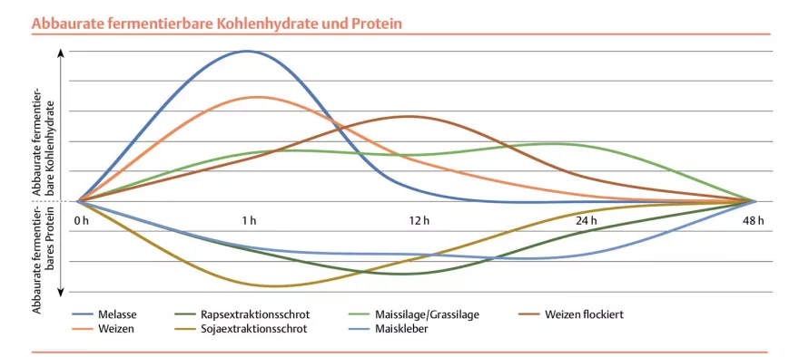 Grafik