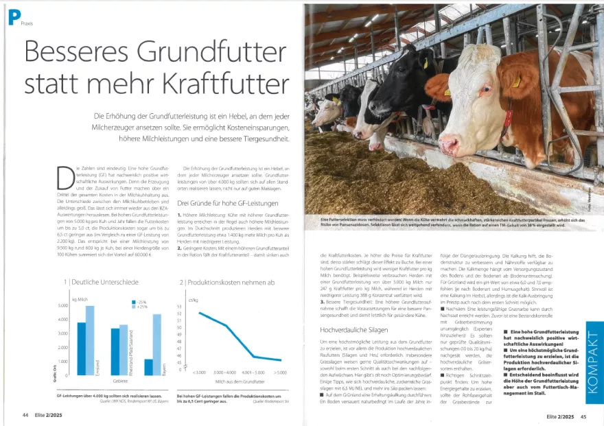 Artikel aus Elite Magazin