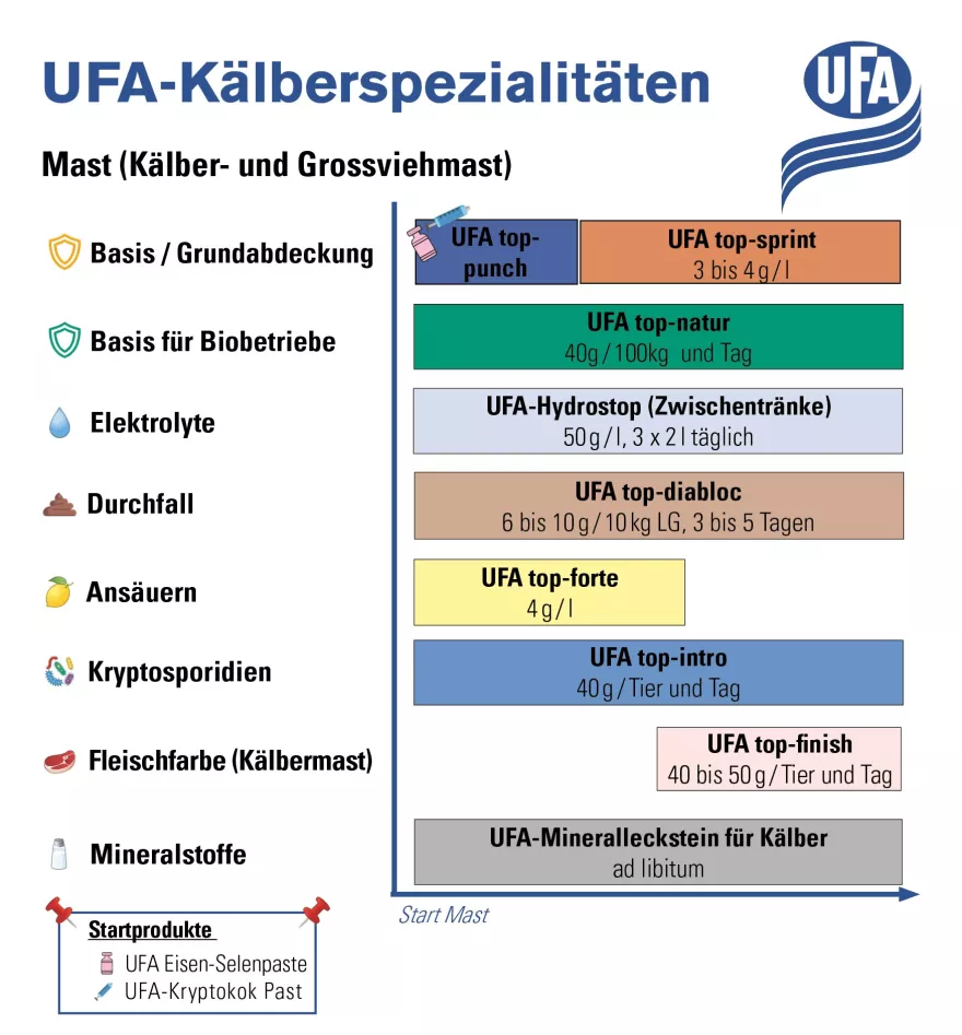 Spezialitäten Mast Kälber