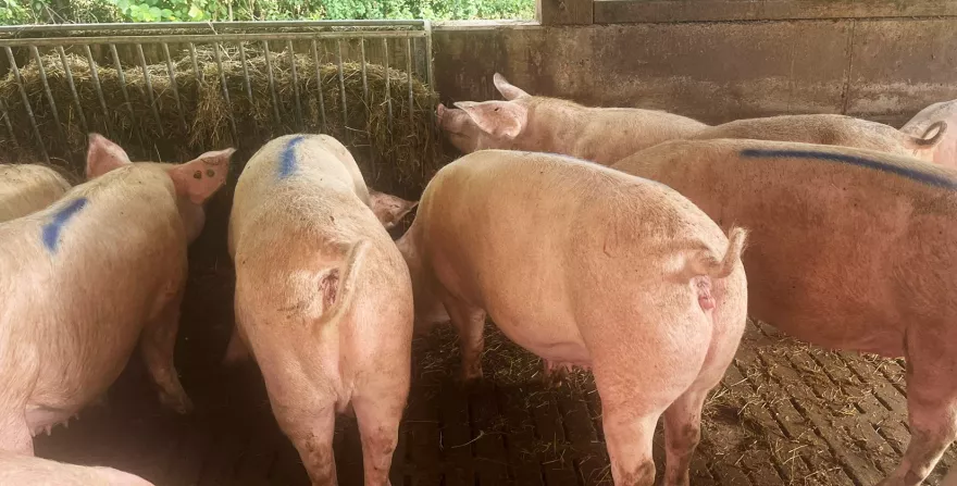 UFA-Services – Ihr Mehrwert