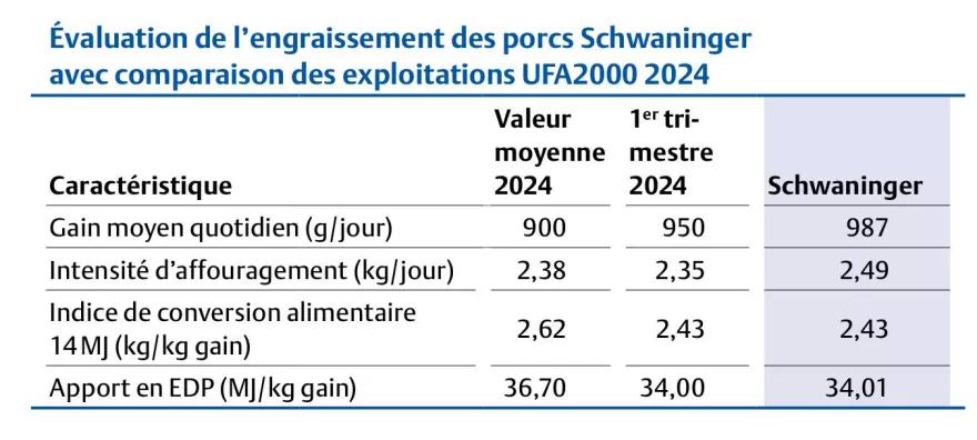 Schweinemastauswertung Schwaninger