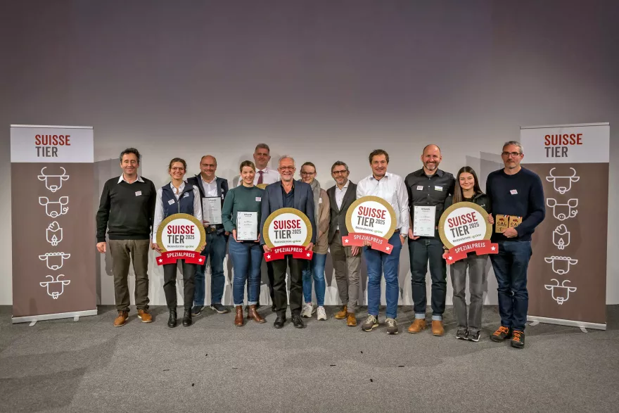 Suisse Tier Spezialpreis