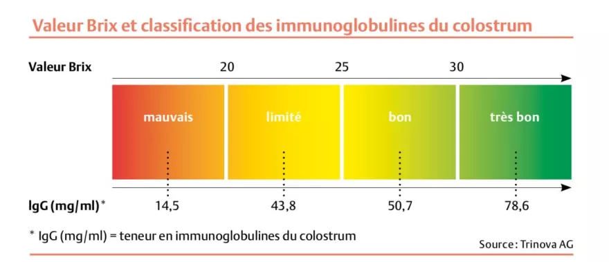 Brix-Werte, Klassifizierung, Kolostralmilch
