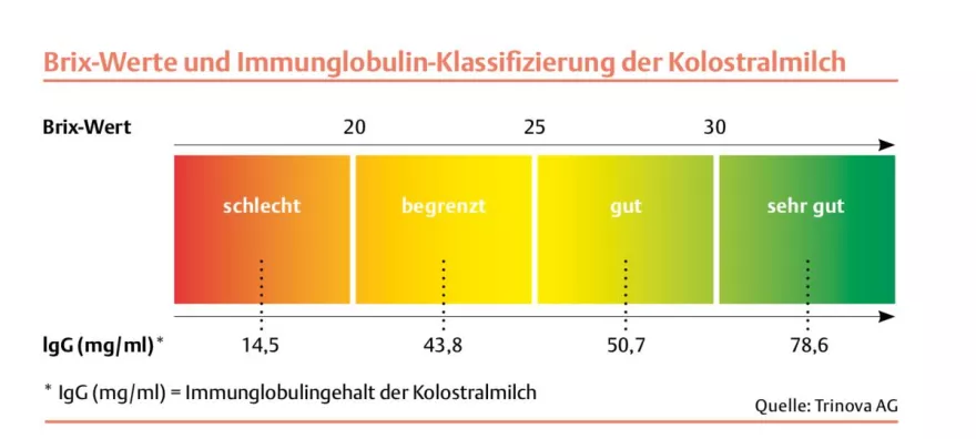 Brix-Werte, Diagramm, Klassifizierung