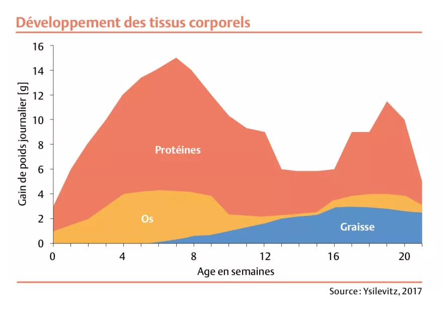 Diagramm, Tabelle, Auswertung