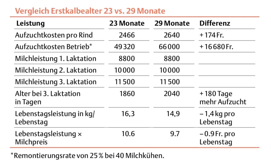 Vergleich Erstkalbealter, Tabelle, Statistik, Milchkühe