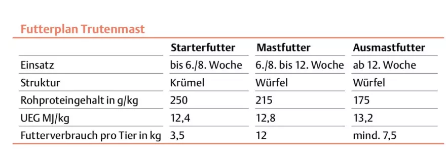 Futterplan, Truten, Tabelle