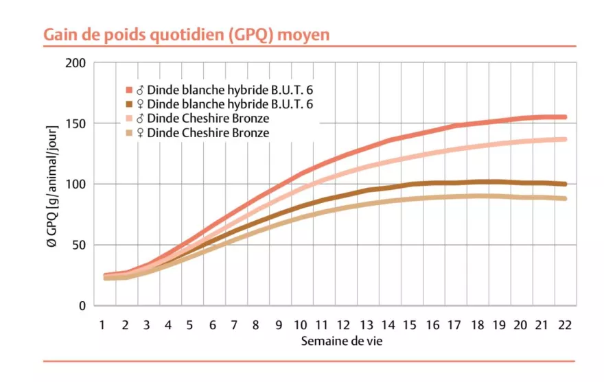 Truten, Tabelle