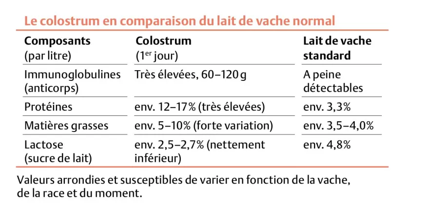 Statistik F