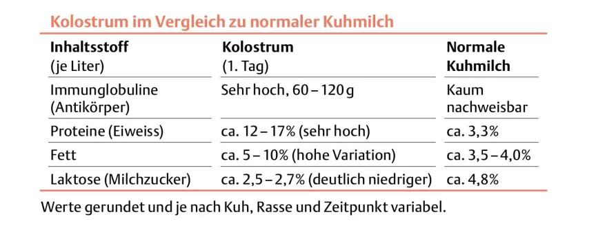 Statistik