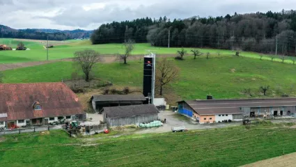 Hof Familie Lehmann, Kälber, Kälberautomaten