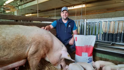 Top-pig