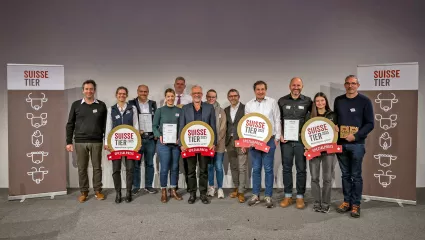 Suisse Tier Spezialpreis