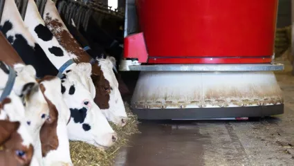 Vector, Automatische Fütterung, Automat, Roboter