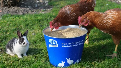 Hobbytierfutteraktion