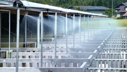 Berieselungsanlage